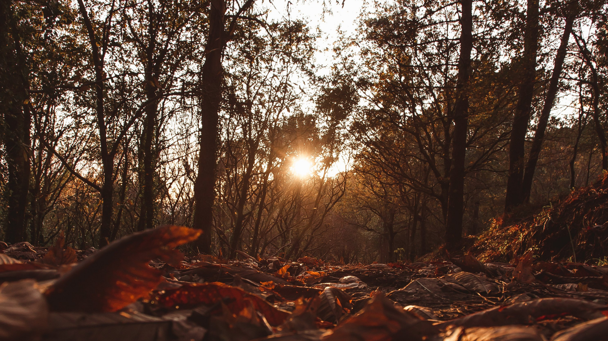 Men's Outerwear Ideas for 2021