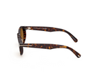 Dark Havana rounded sunglasses, side profile with tan lenses and temple branding