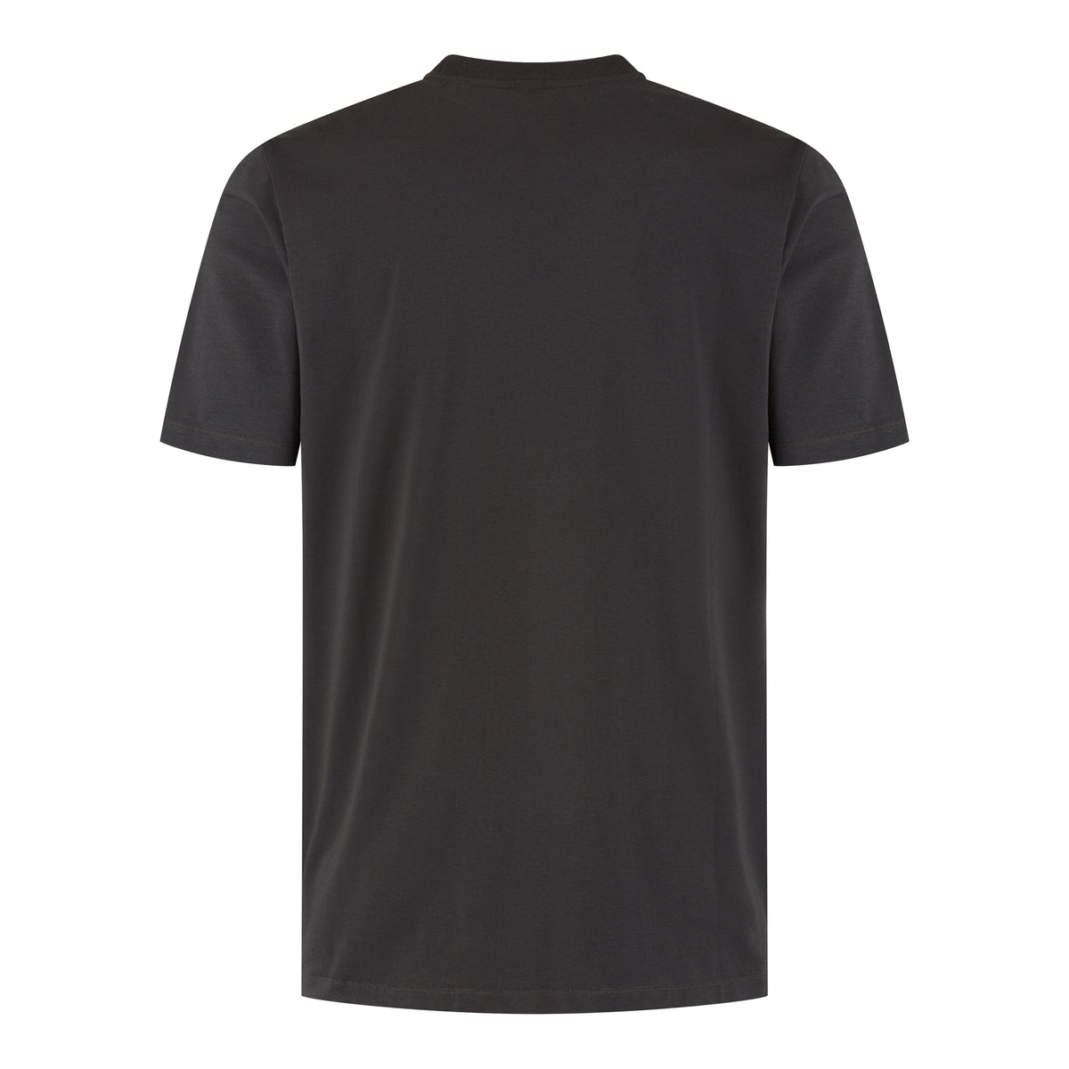 Men's stretch jersey t-shirt, dark anthracite, crew neck short sleeves (back view)